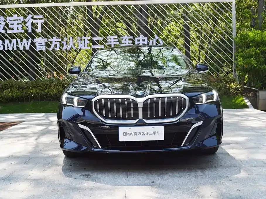 BMW 5 Series 2024 из CN, фото 4