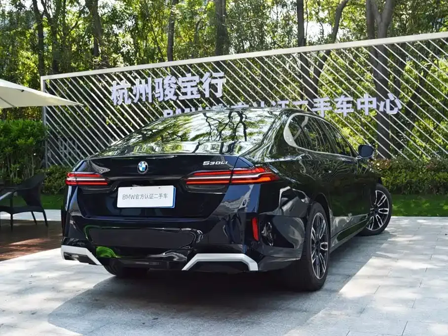 BMW 5 Series 2024 из CN, фото 6