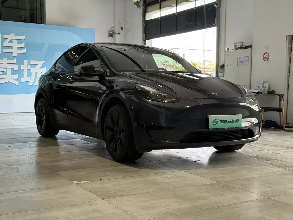 Tesla Model Y — фото 9
