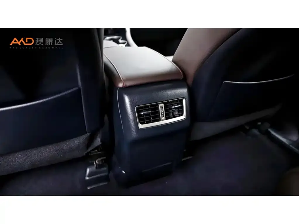 Lexus RX — фото 10