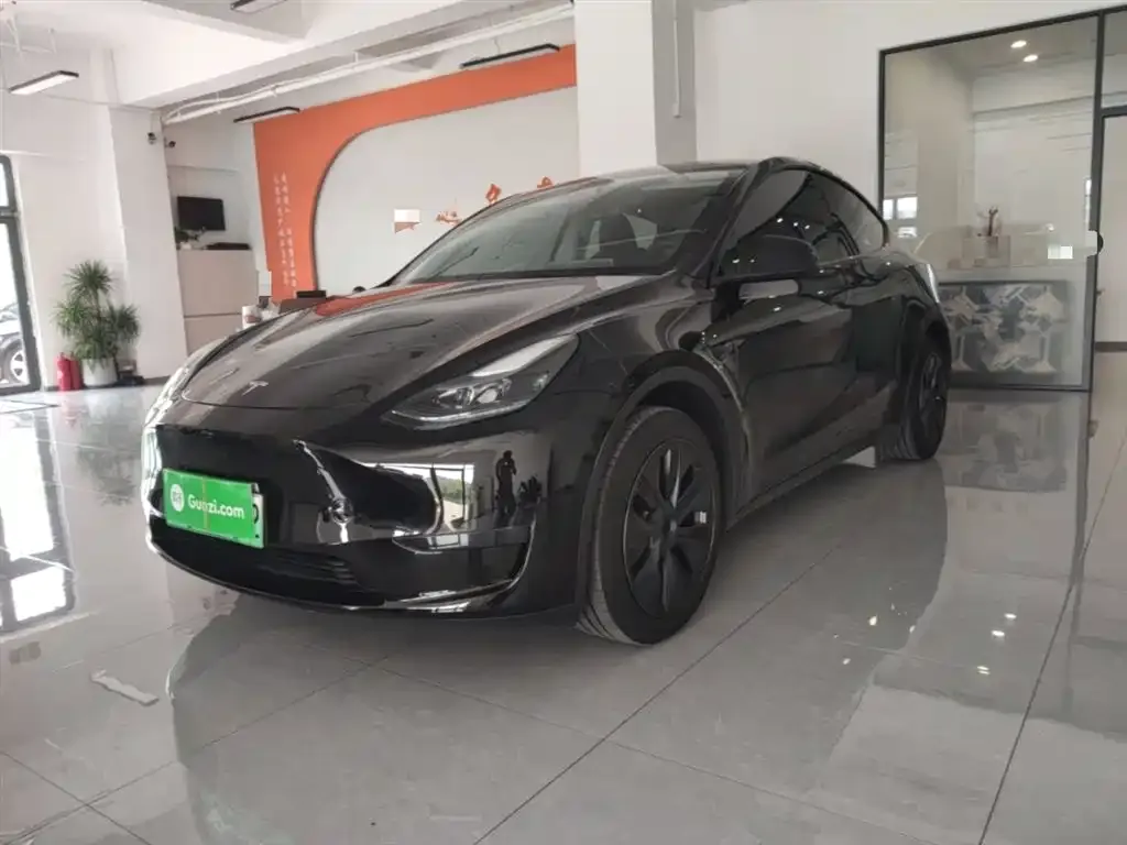 Tesla Model Y 2024 из CN, фото 1