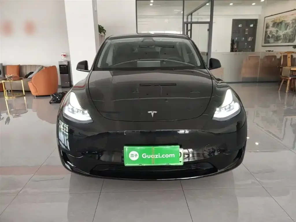 Tesla Model Y 2024 из CN, фото 4