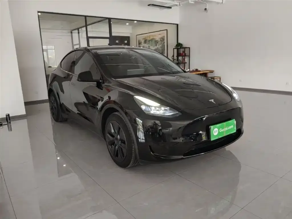 Tesla Model Y 2024 из CN, фото 5