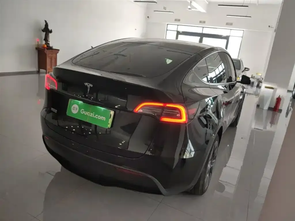 Tesla Model Y 2024 из CN, фото 8