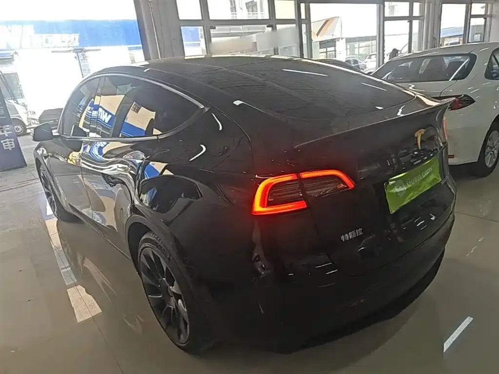 Tesla Model Y — фото 10