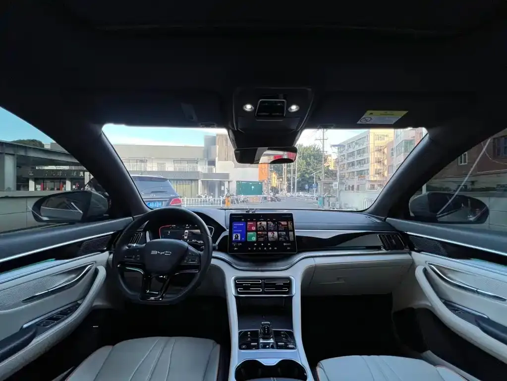 BYD PLUS New Energy 2024 из CN, фото 7