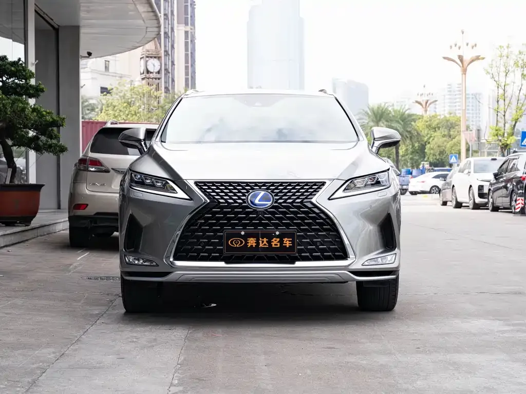 Lexus RX — фото 10
