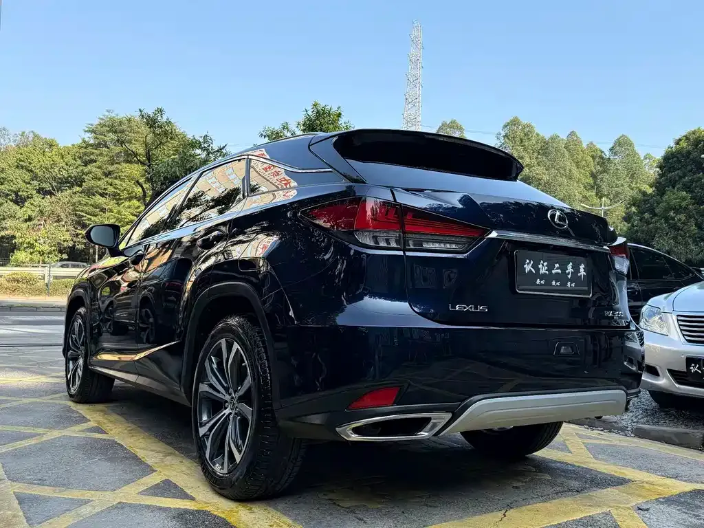 Lexus RX — фото 10