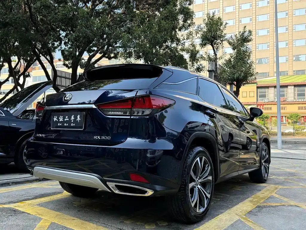 Lexus RX — фото 8