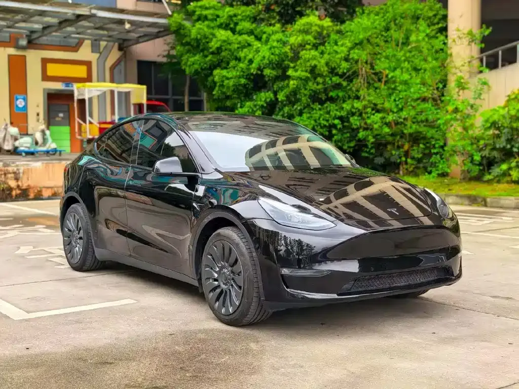 Tesla Model Y — фото 4
