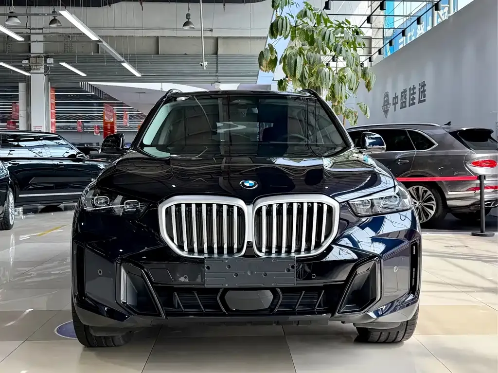 BMW X5 — фото 8