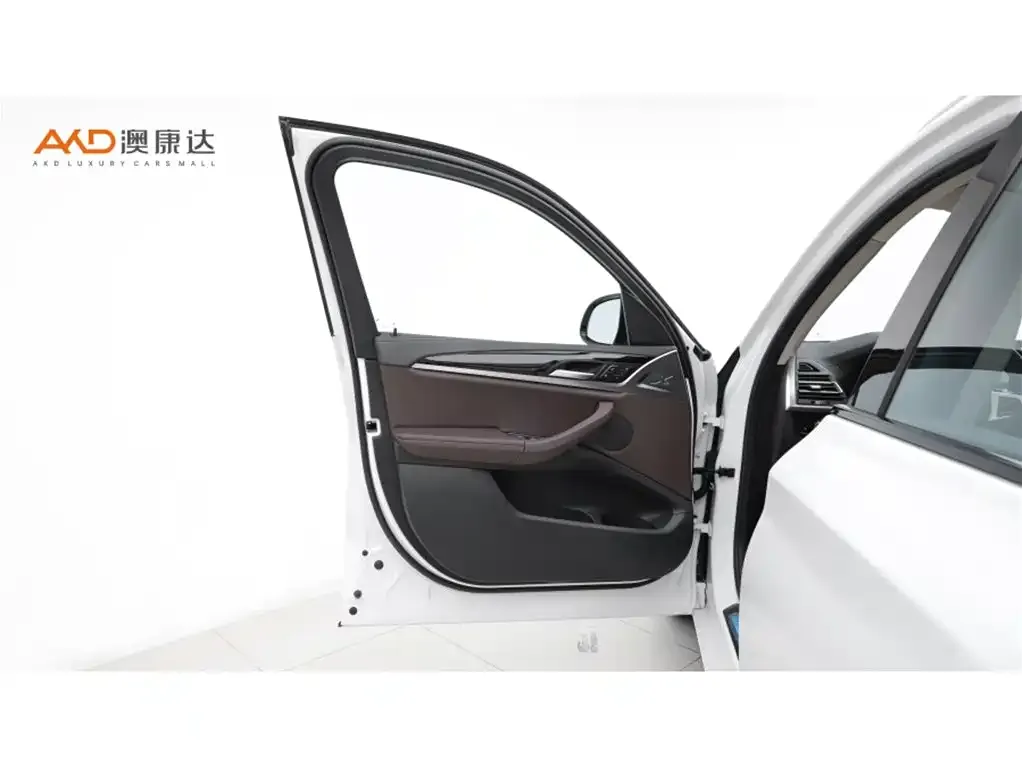 BMW X3 2021 из CN, фото 6