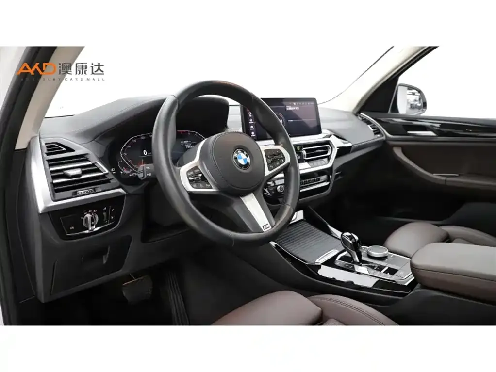 BMW X3 2021 из CN, фото 9
