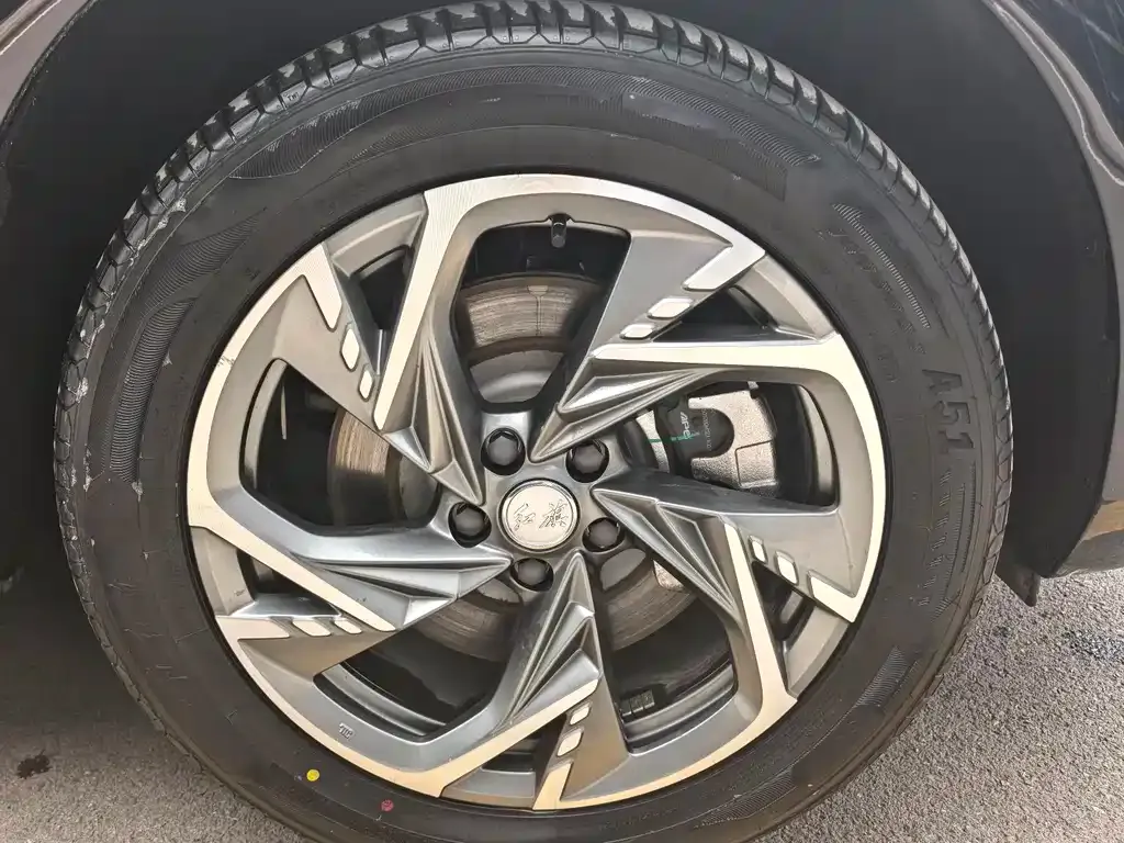Hongqi HS3 PHEV 2025 из CN, фото 9