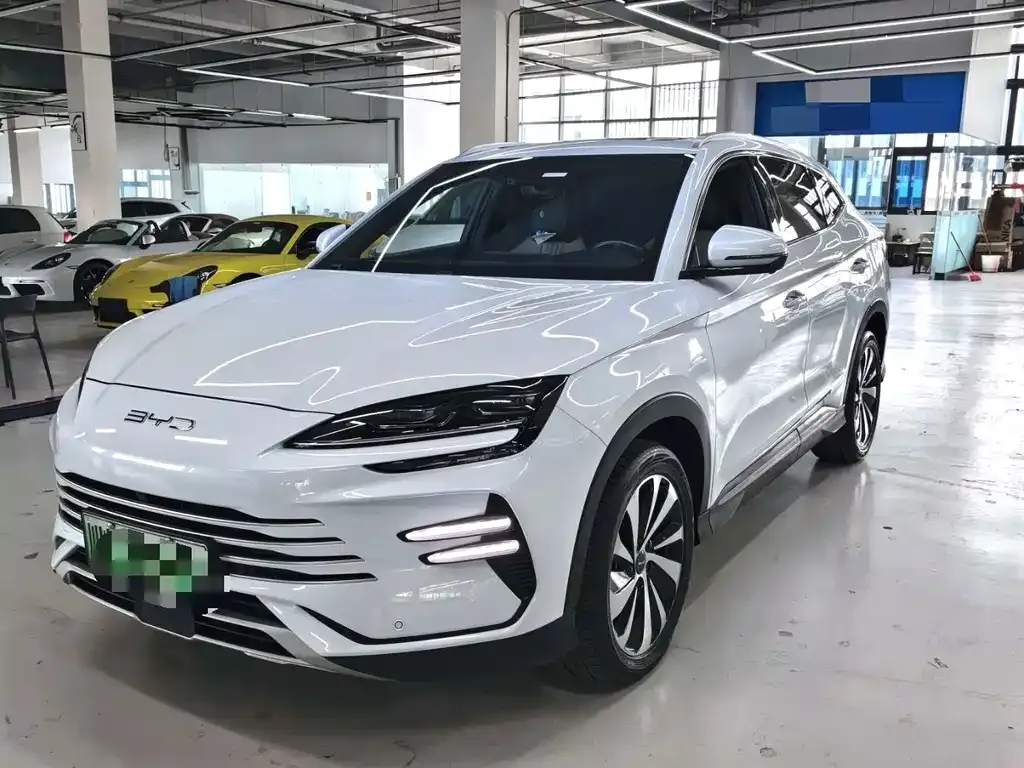 BYD PLUS New Energy — фото 1