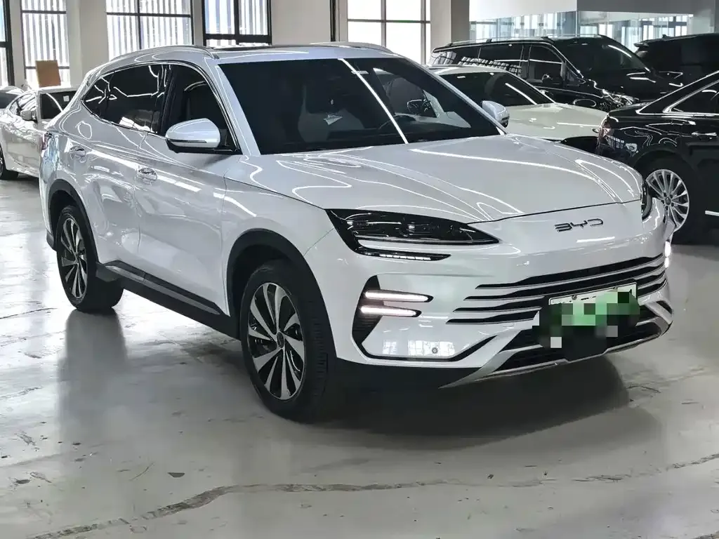 BYD PLUS New Energy — фото 3
