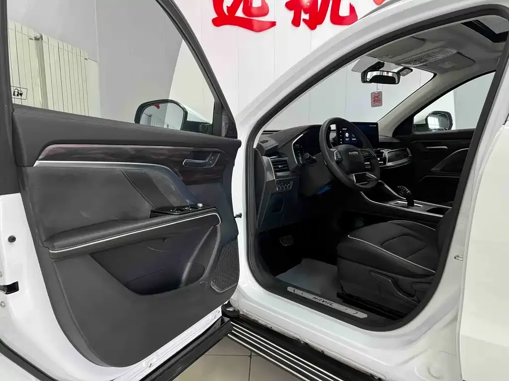 Haval H6 2023 из CN, фото 10