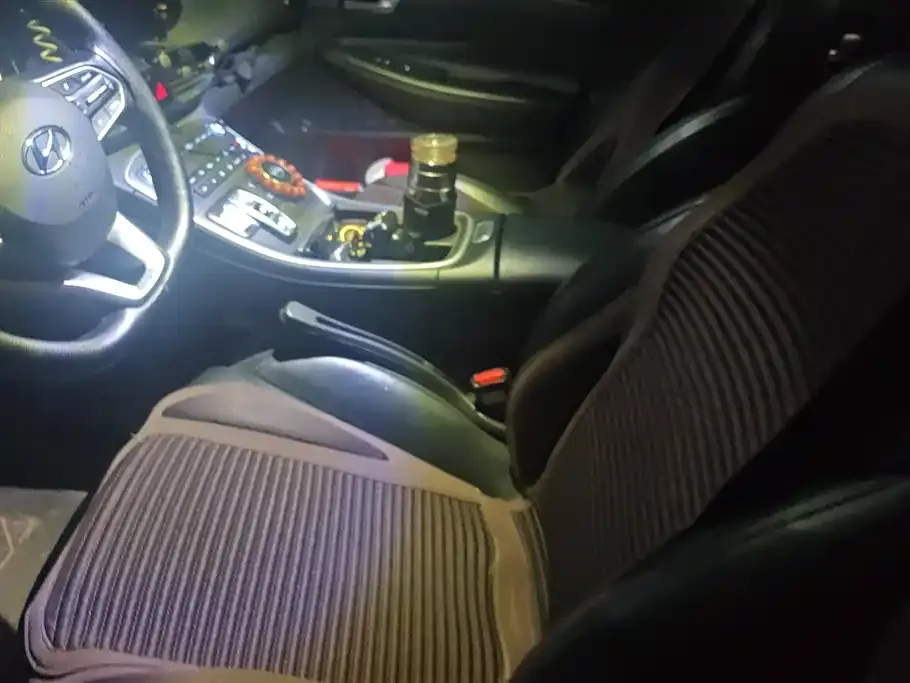 Hyundai Santa Fe 2023 из CN, фото 7