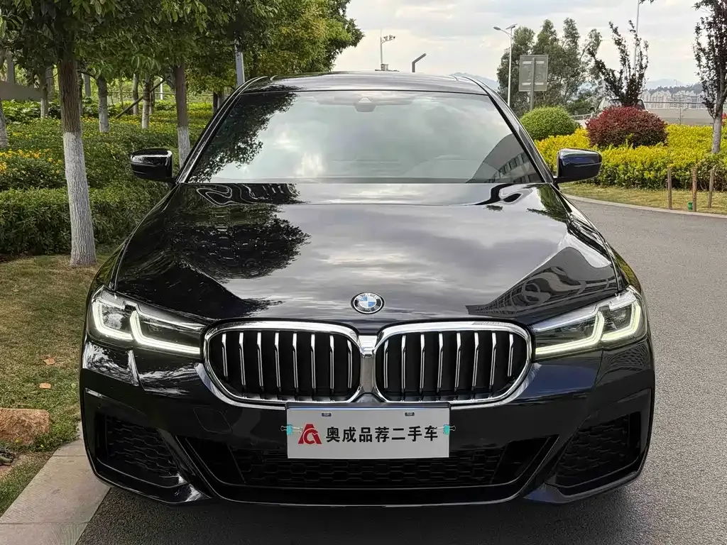BMW 5 Series — фото 4