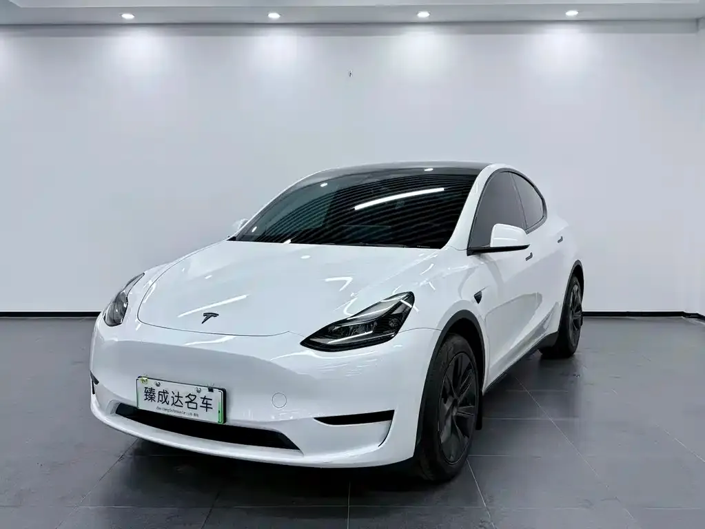 Tesla Model Y — фото 1