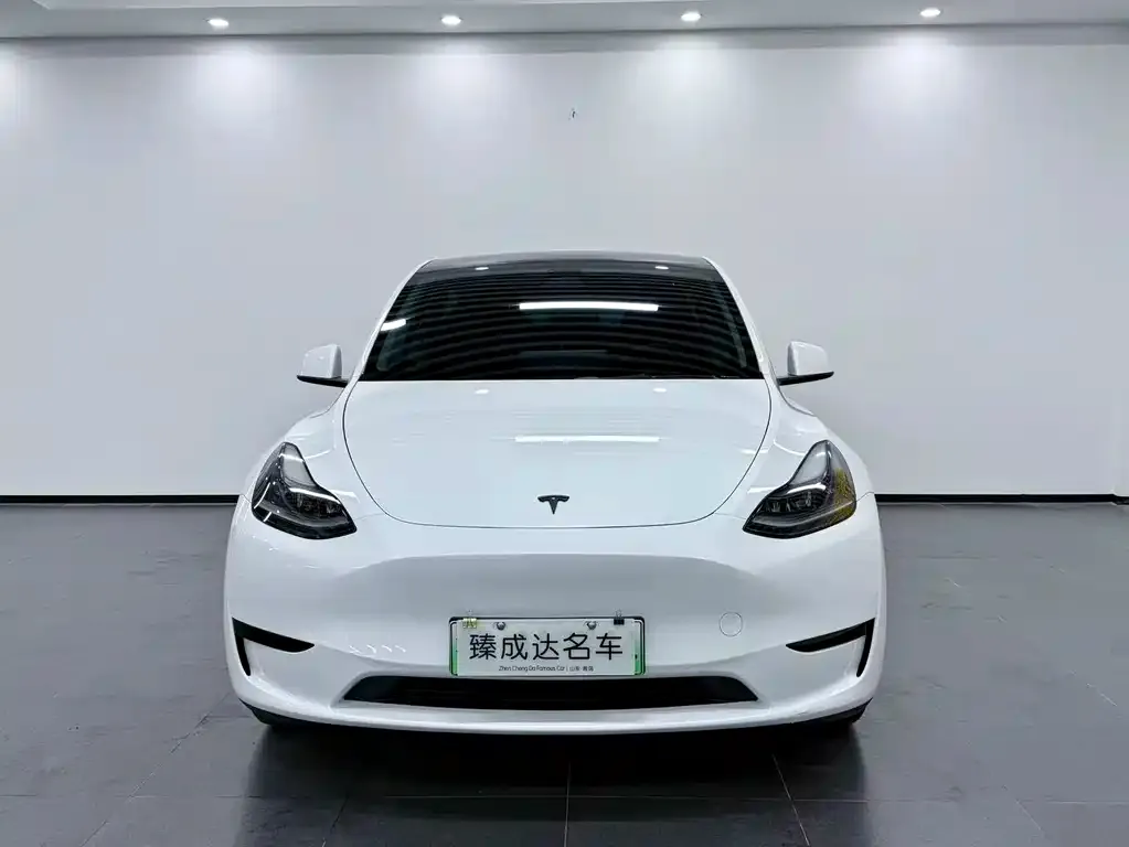 Tesla Model Y — фото 10