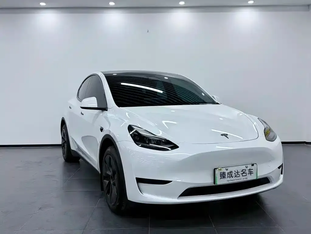 Tesla Model Y — фото 2