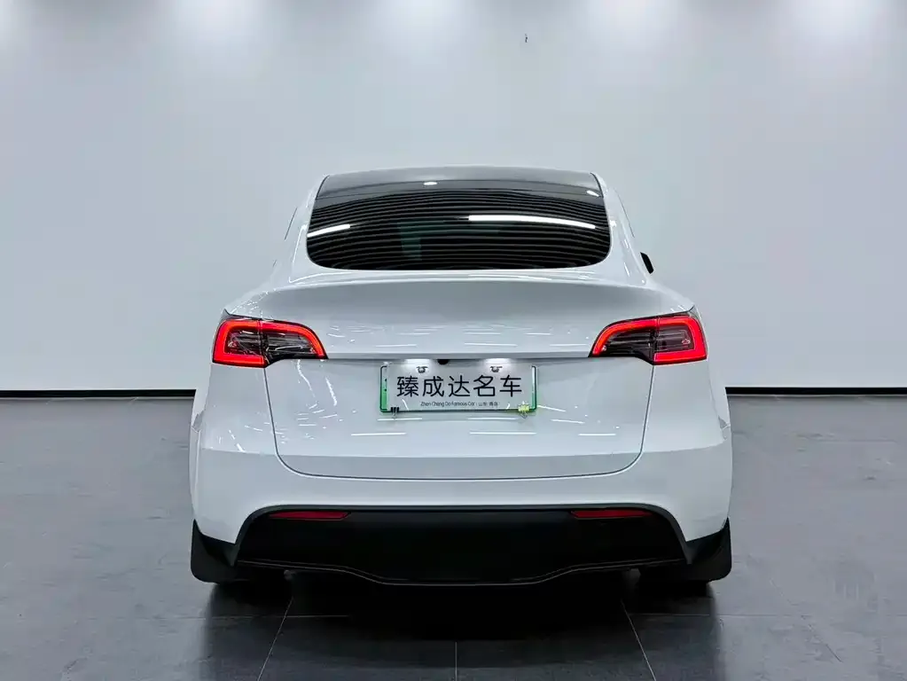 Tesla Model Y — фото 4