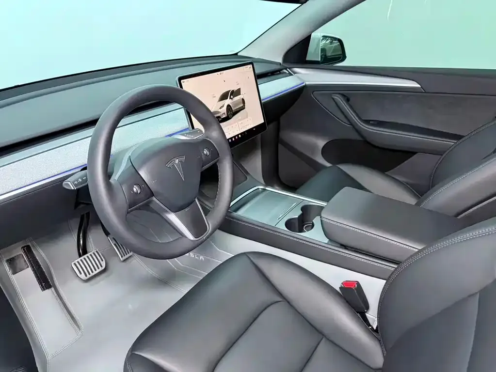 Tesla Model Y — фото 7