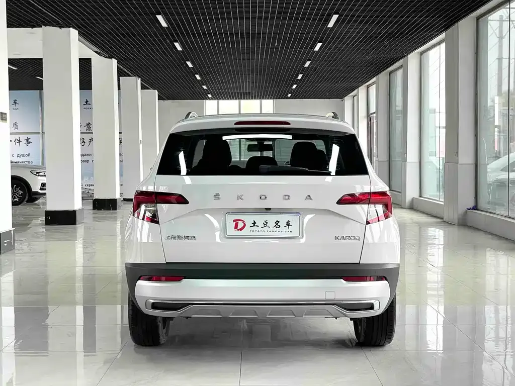 Skoda Karoq 2021 из CN, фото 5