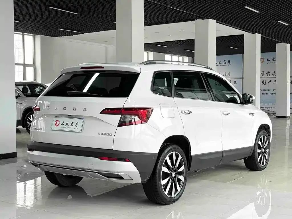 Skoda Karoq 2021 из CN, фото 4
