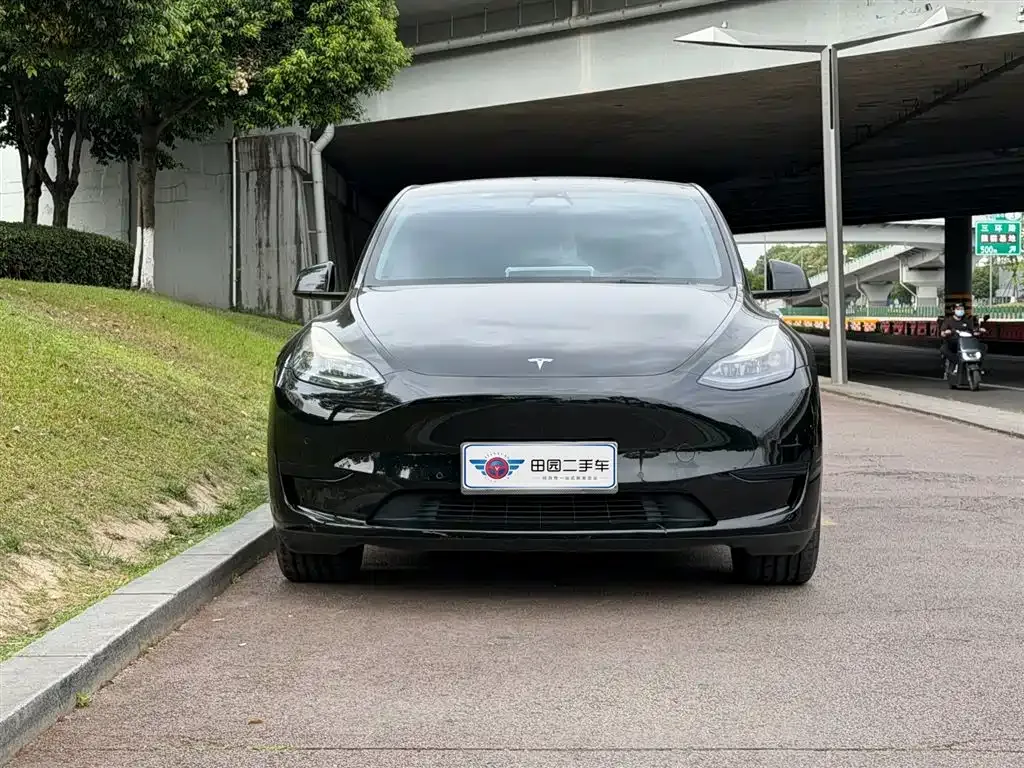 Tesla Model Y — фото 2