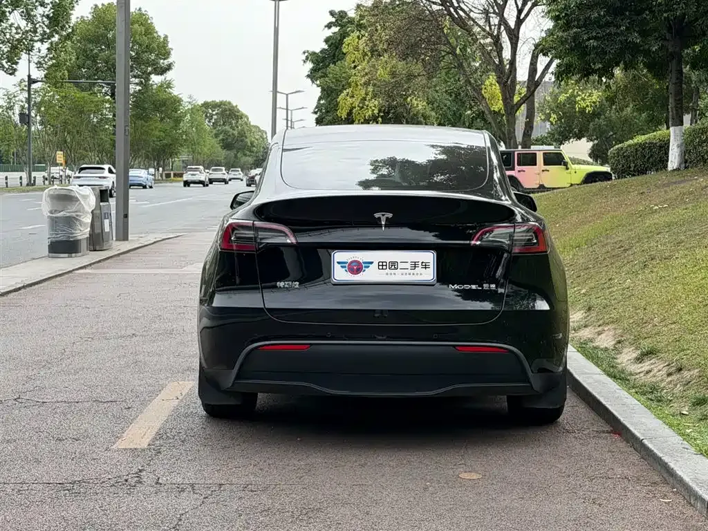Tesla Model Y — фото 9