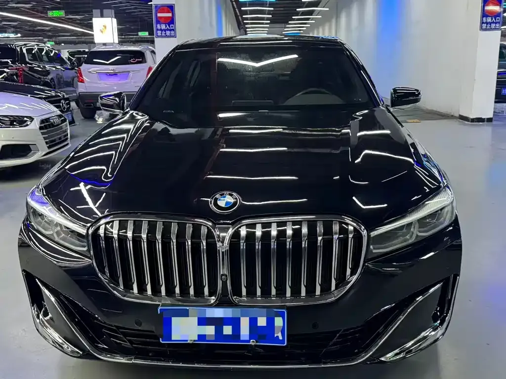 BMW 7 Series 2021 из CN, фото 7