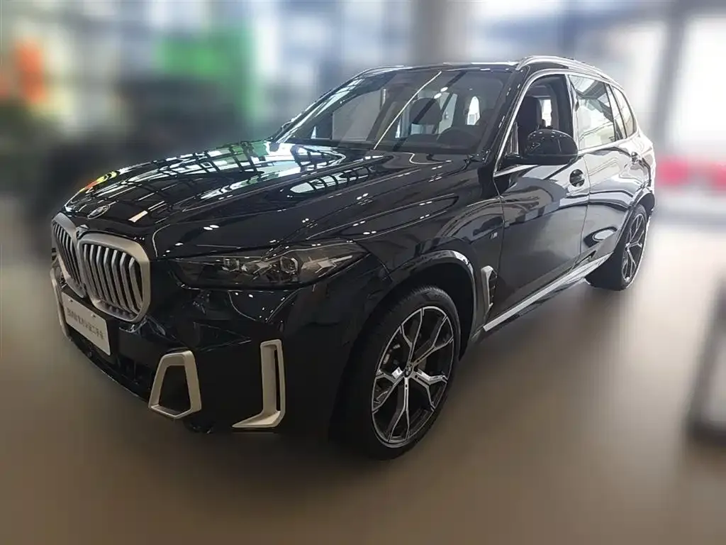 BMW X5 — фото 9
