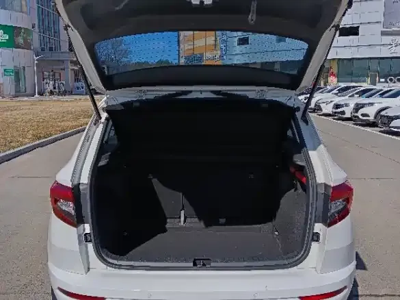 Skoda Karoq 2022 из CN, фото 10