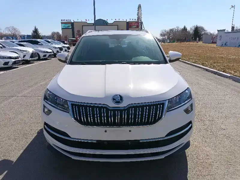 Skoda Karoq 2022 из CN, фото 5