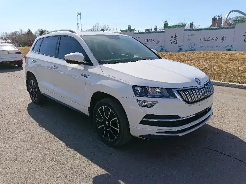 Skoda Karoq 2022 из CN, фото 3