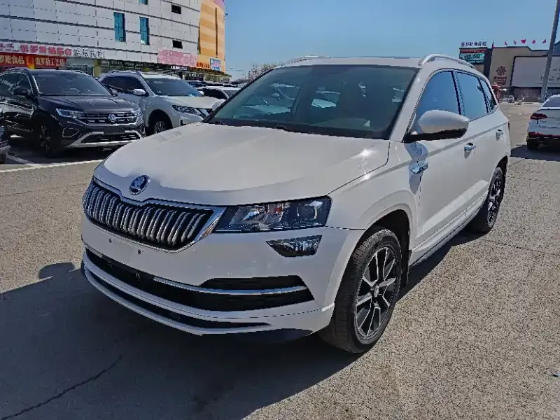 Skoda Karoq 2022 из CN, фото 7