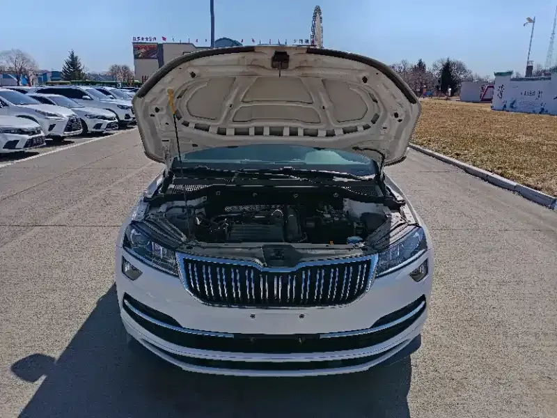 Skoda Karoq 2022 из CN, фото 8