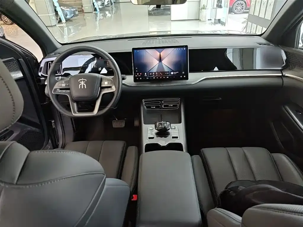 BYD Pro New Energy 2025 из CN, фото 4