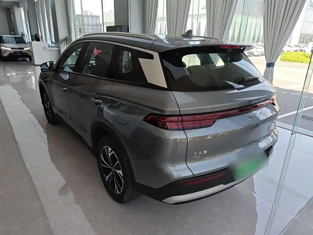 BYD Pro New Energy 2025 из CN, фото 9