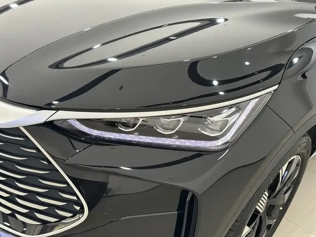 BYD Tang New Energy — фото 10