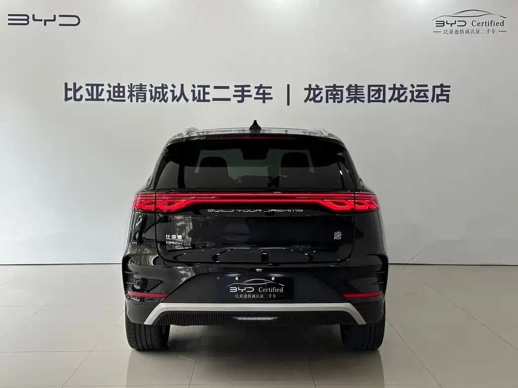 BYD Tang New Energy — фото 2