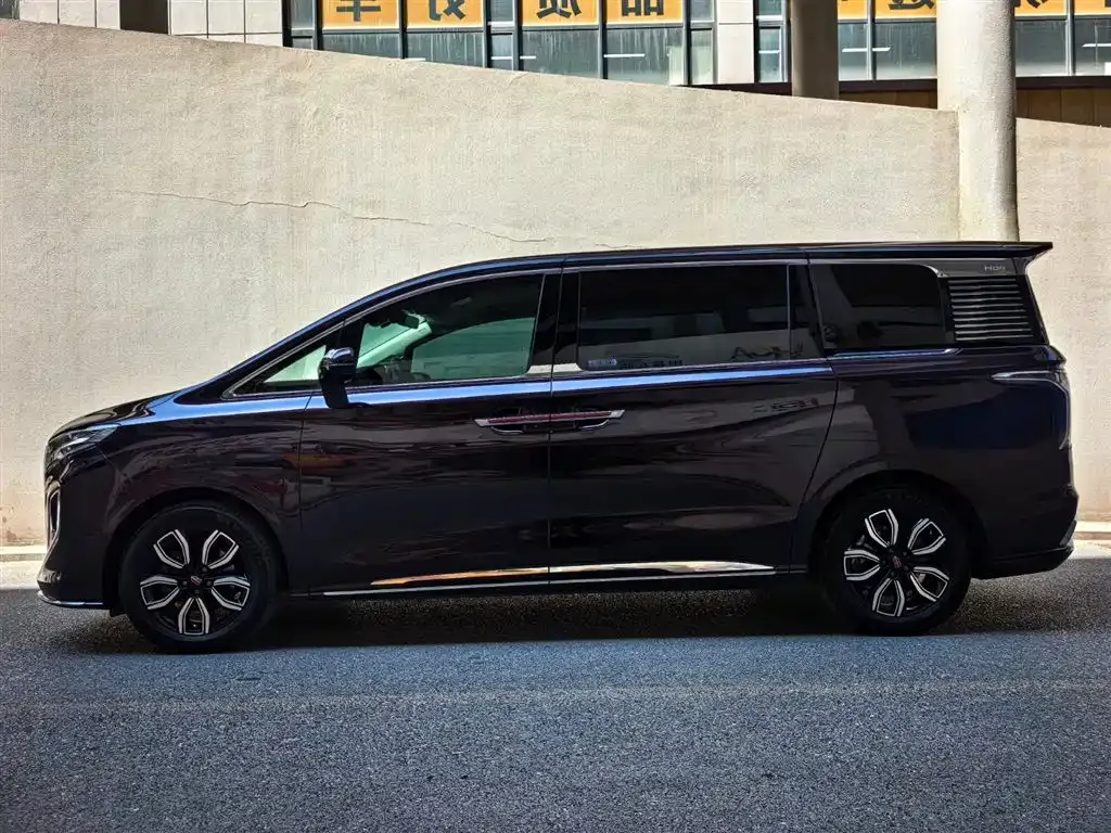 Hongqi HQ9 2023 из CN, фото 8