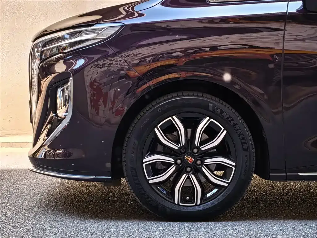 Hongqi HQ9 2023 из CN, фото 5