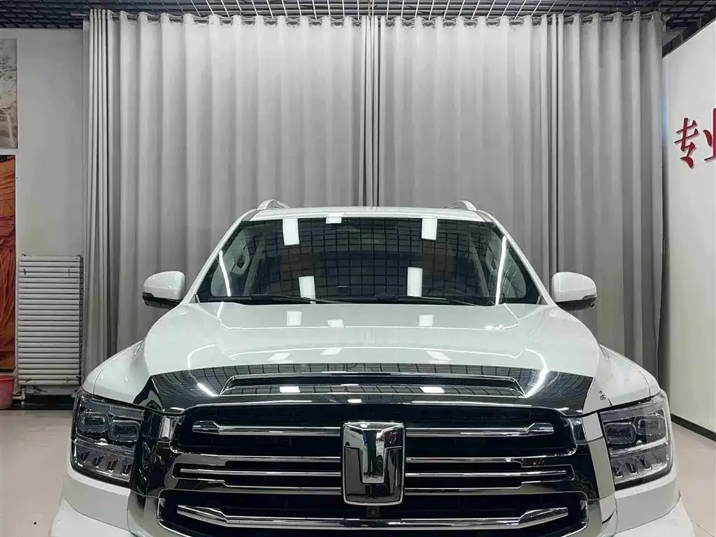 Tank 500 New Energy 2025 из CN, фото 2