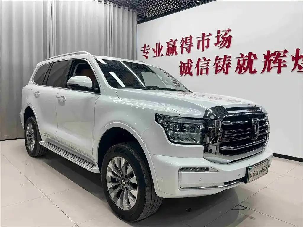 Tank 500 New Energy 2025 из CN, фото 8