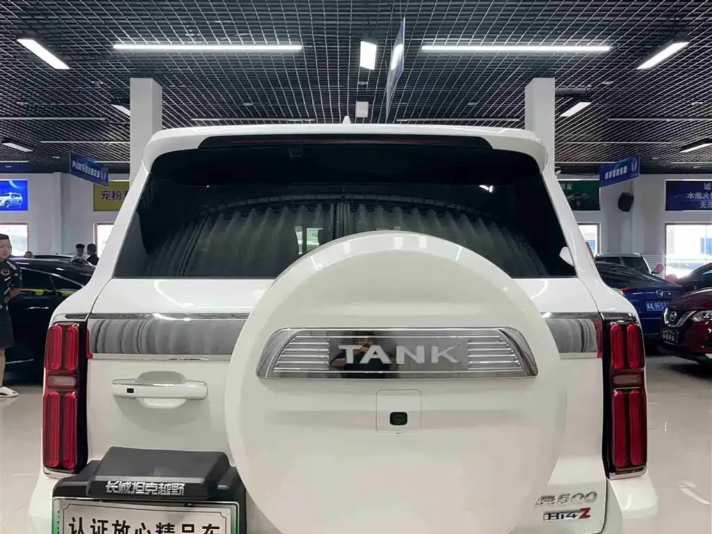 Tank 500 New Energy 2025 из CN, фото 5