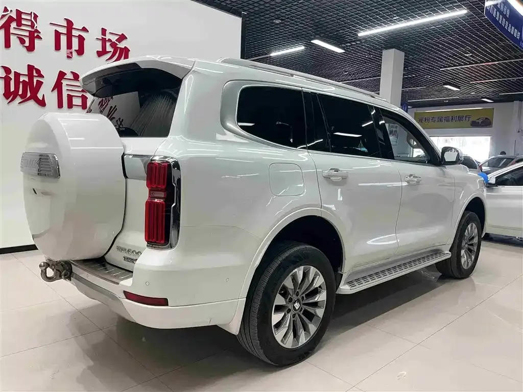 Tank 500 New Energy 2025 из CN, фото 4