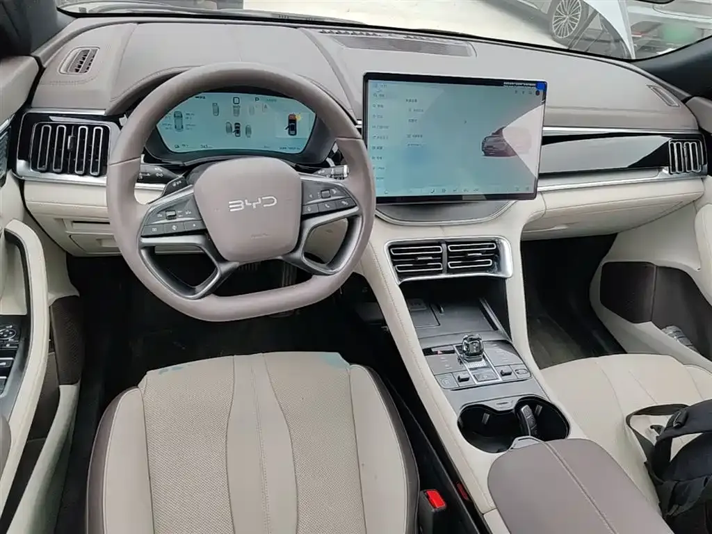 BYD PLUS New Energy — фото 10